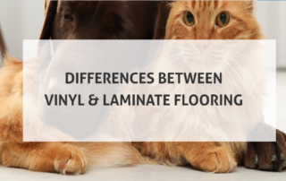 Differences between Vinyl and Laminate Flooring dog and cat centered copy